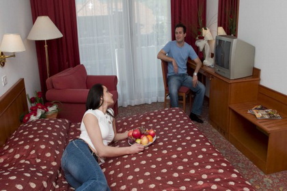 Hotel Toplice **** / 